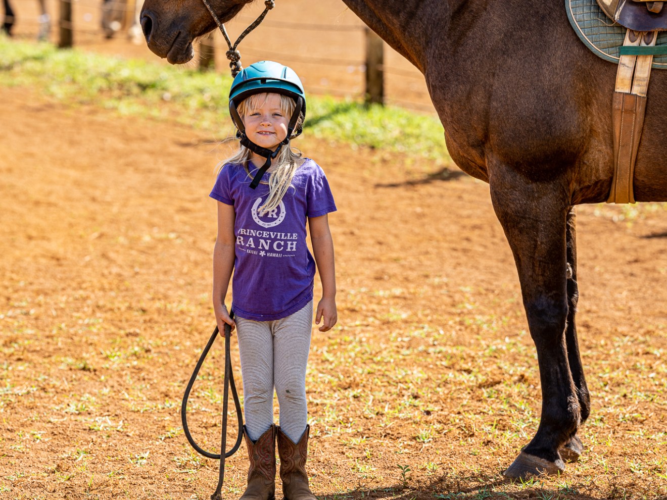 a brown horse standing on top of a dirt field