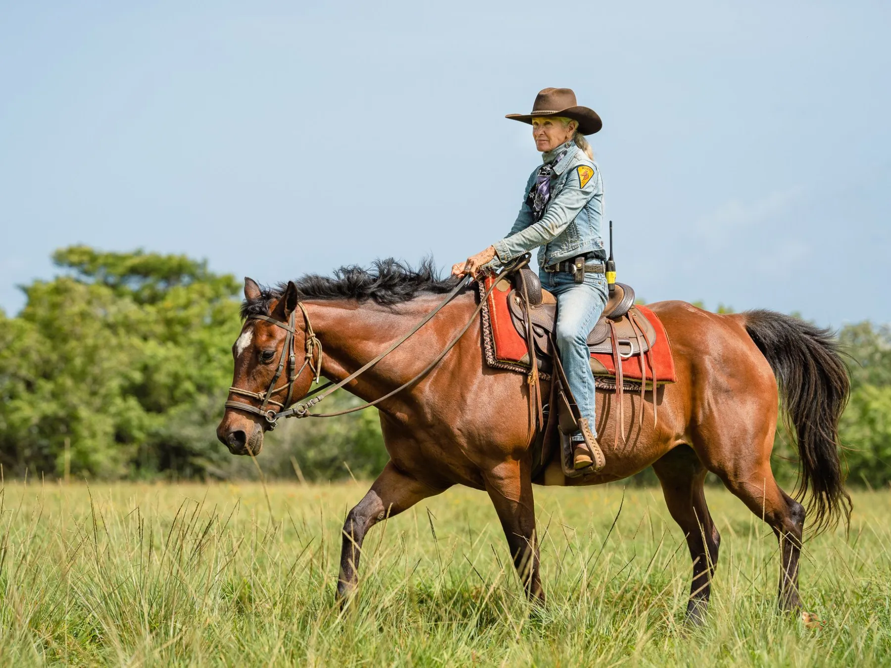 a person riding a horse in a field
