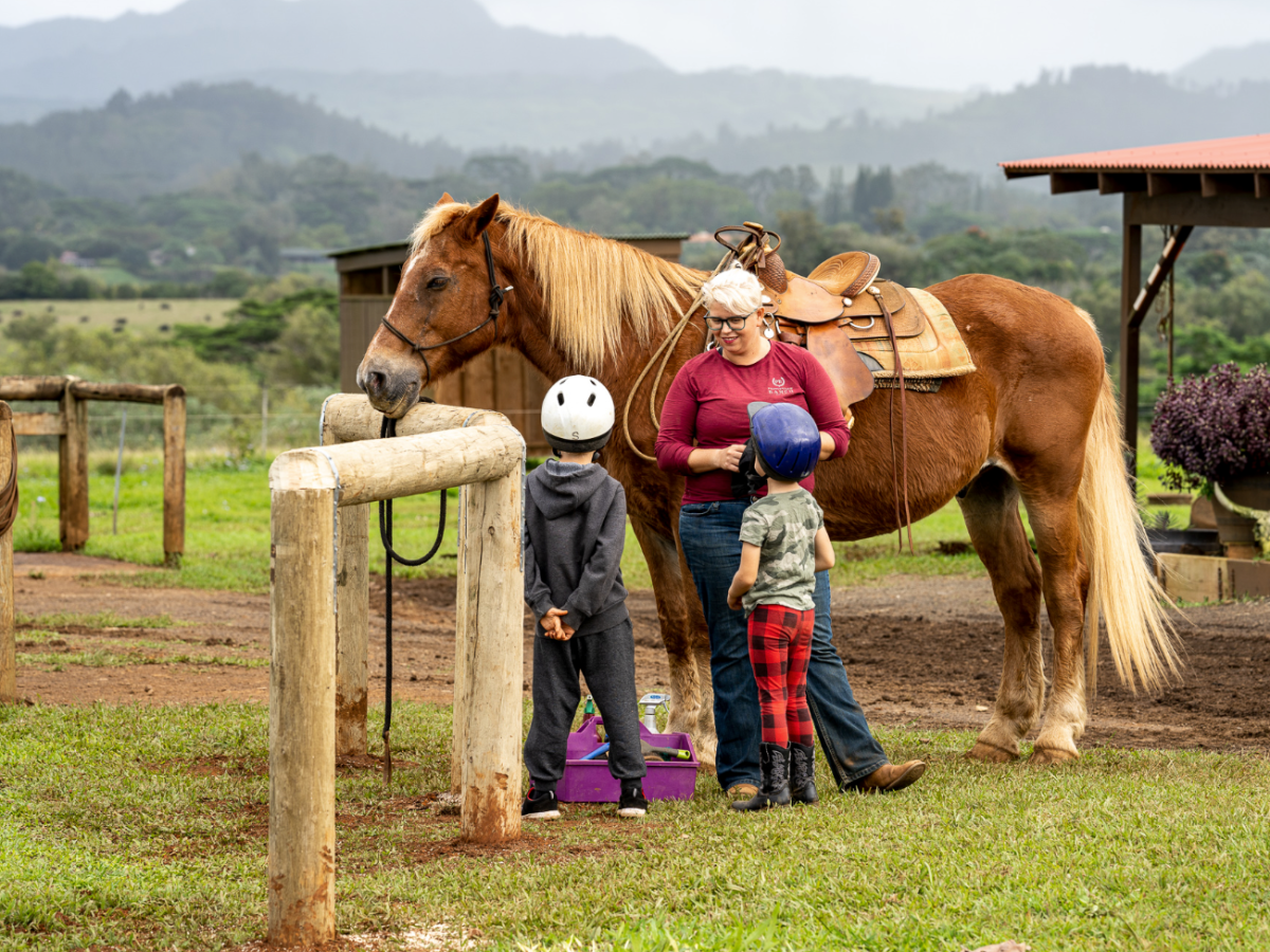 a group of people standing in front of a horse