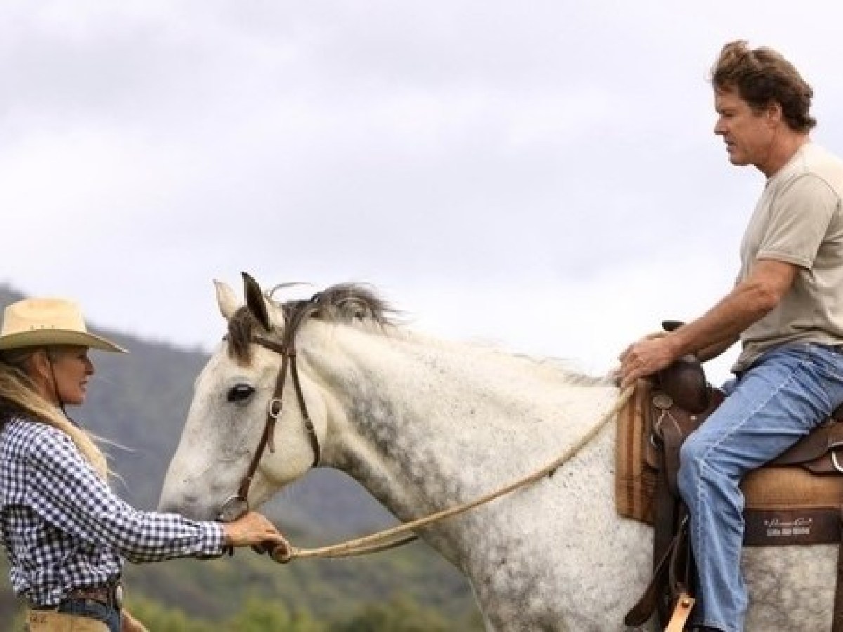 a person riding a horse