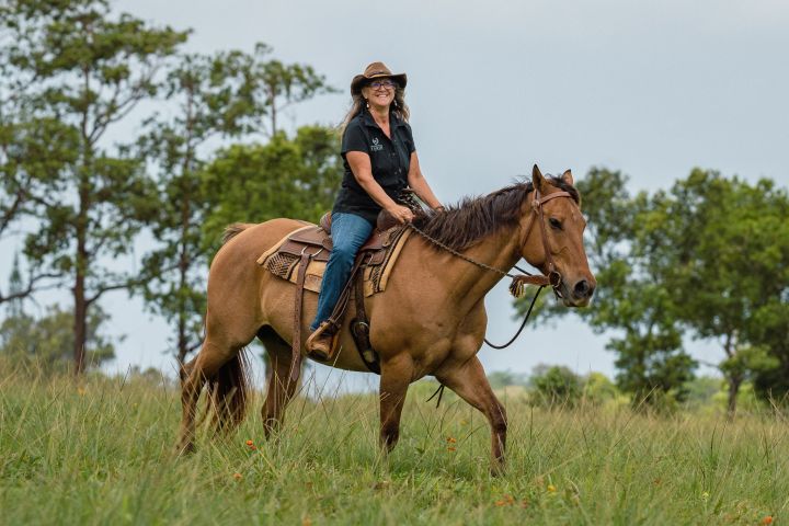 a person riding a horse in a field