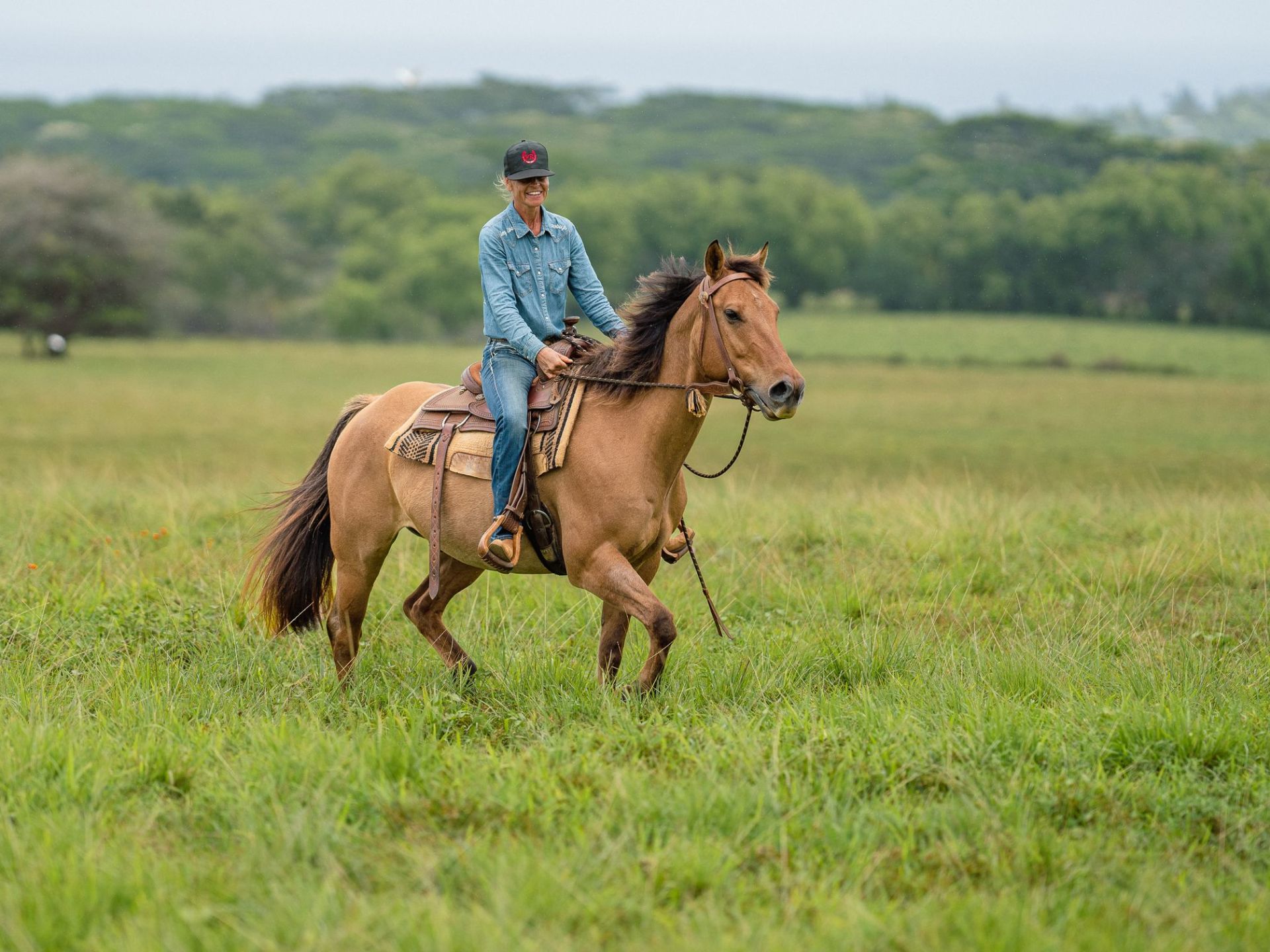 a person riding a horse in a field